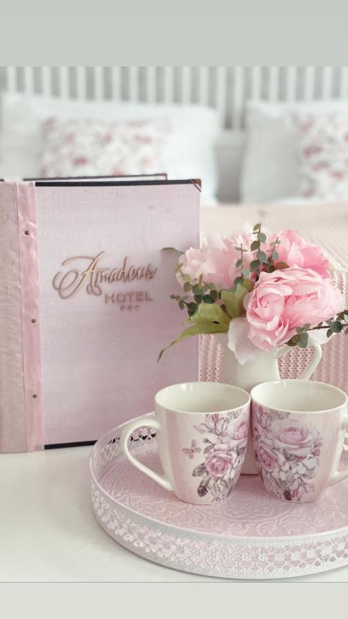 Hotel Amadeus 체스케부데요비체 외부 사진